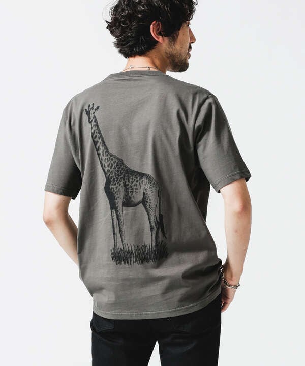 WWF ANIMAL Tシャツ 半袖 1
