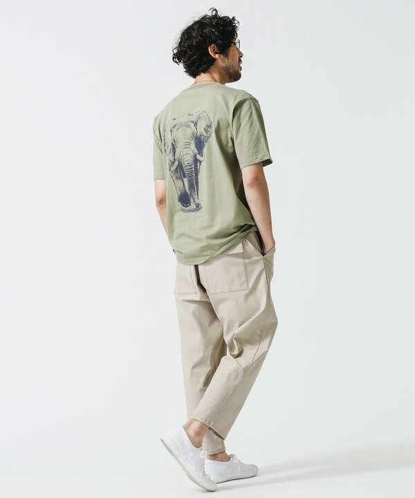 WWF ANIMAL Tシャツ 半袖 1