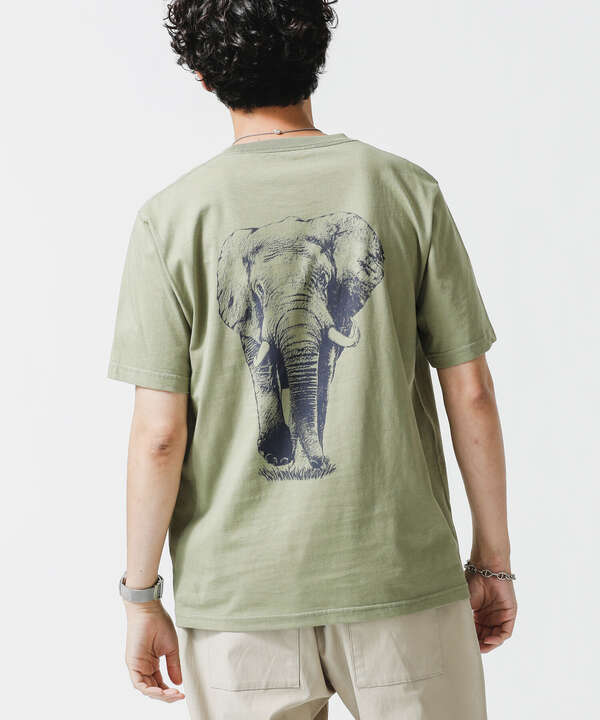 WWF ANIMAL Tシャツ 半袖 1