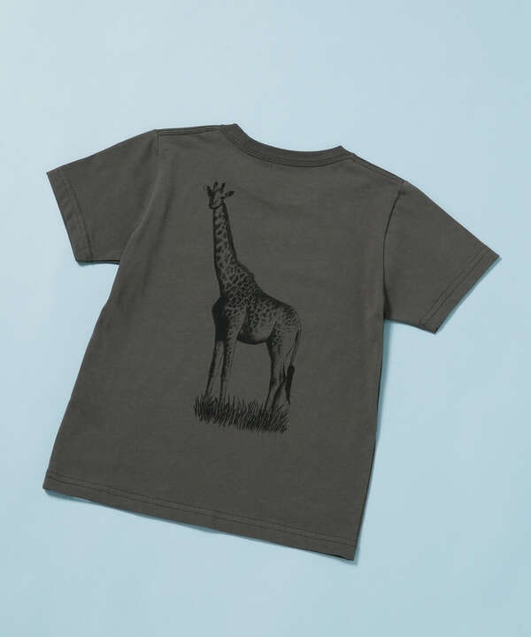《WEB限定》WWF ANIMAL Tシャツ 半袖 2