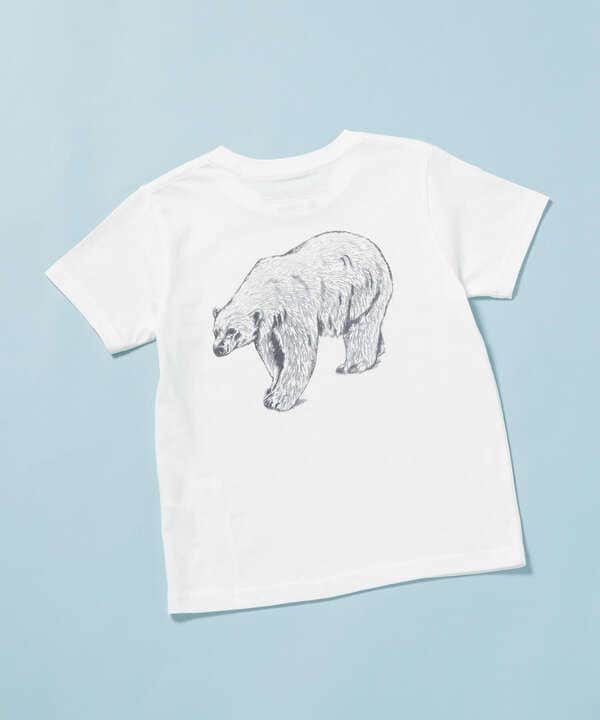 《WEB限定》WWF ANIMAL Tシャツ 半袖 2