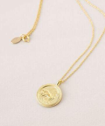 Chibi Jewels/Greek Horse Coin Necklace