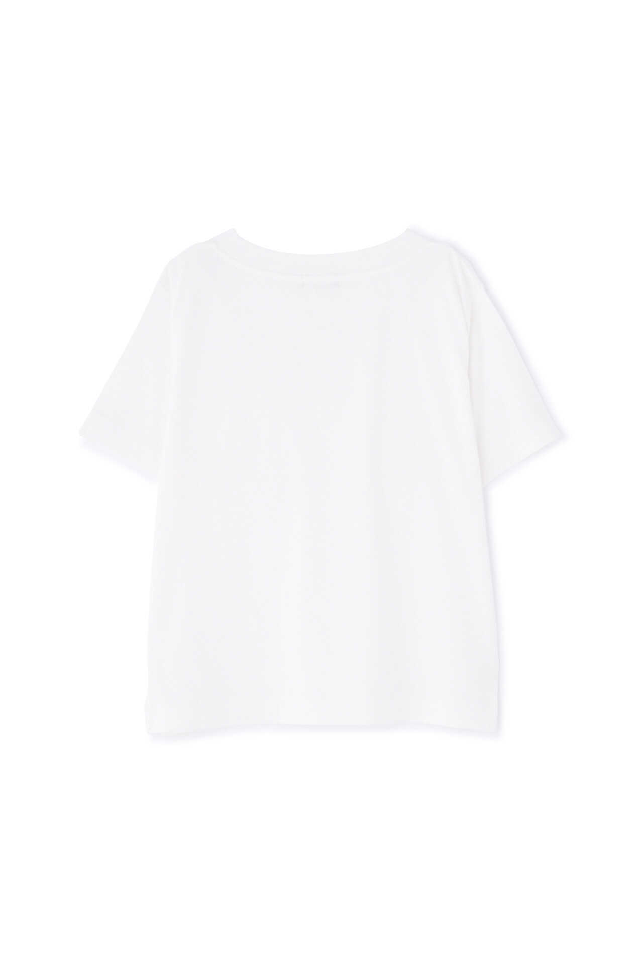 COTTON V NECK T SHIRT8
