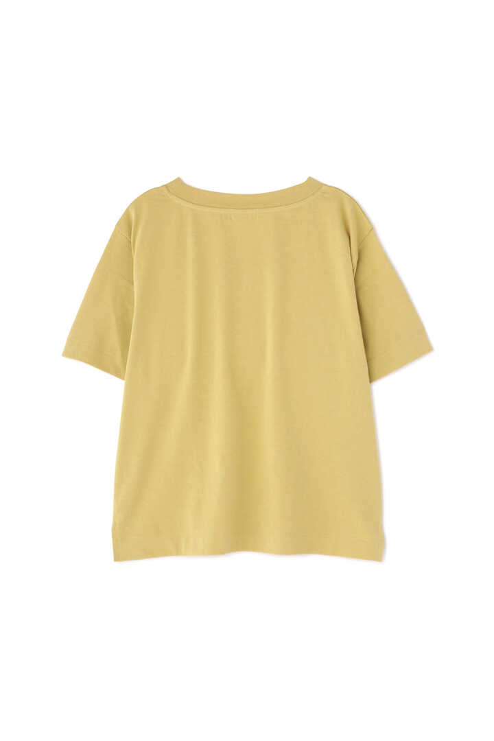COTTON V NECK T SHIRT2