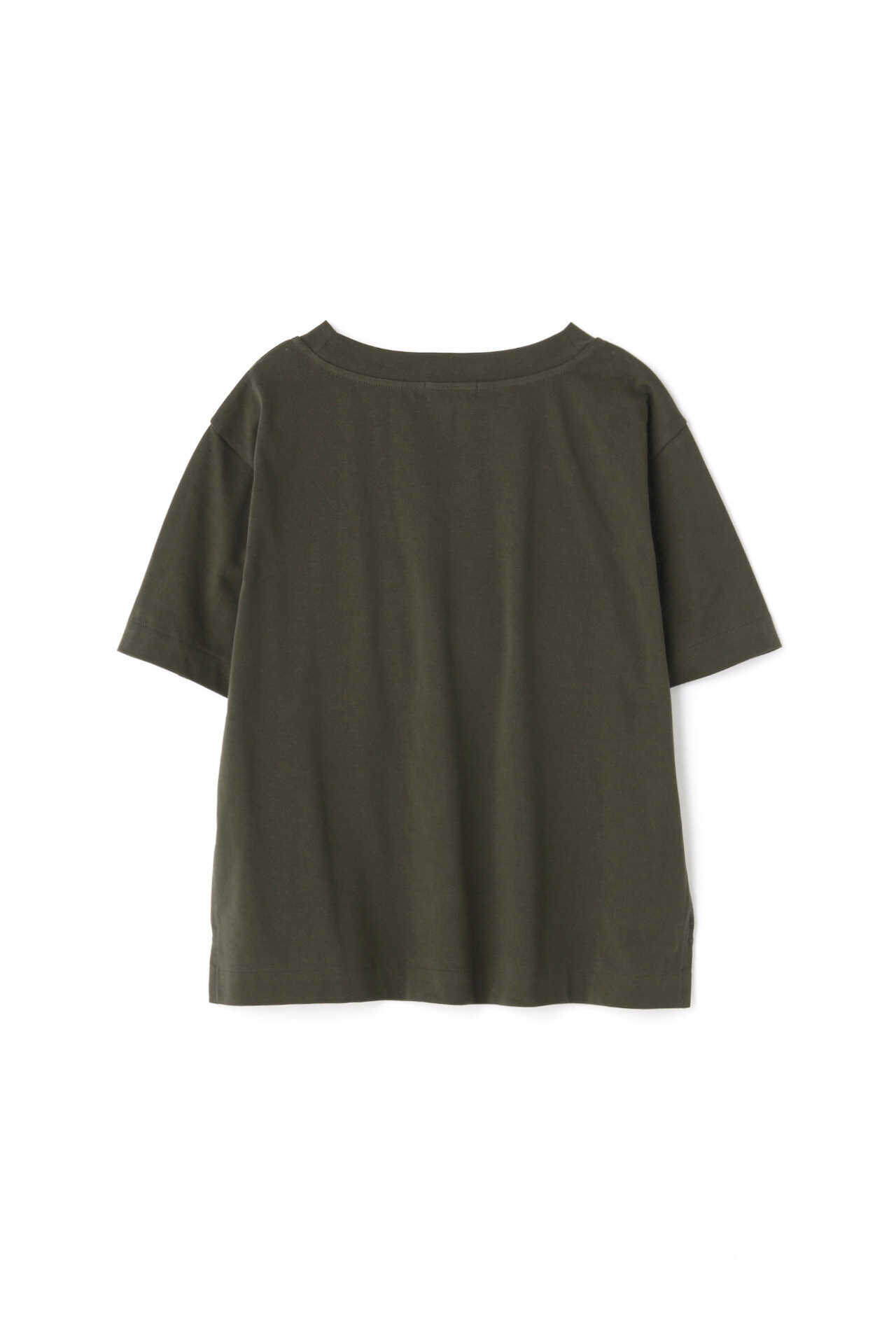 COTTON V NECK T SHIRT12