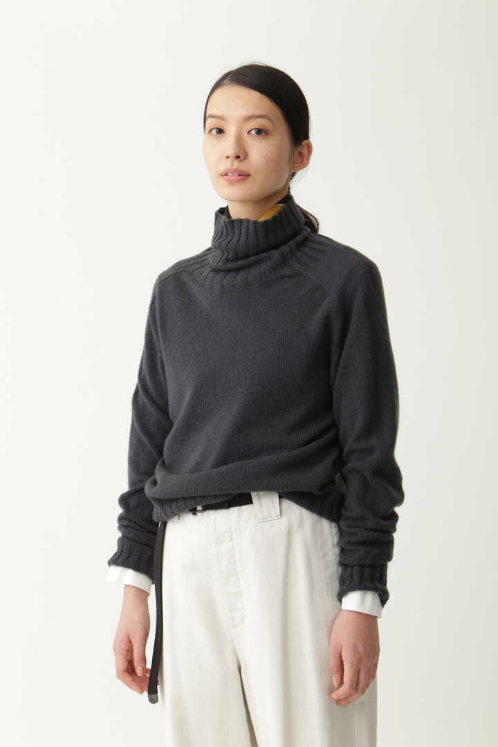 WIDE ROLL NECK1