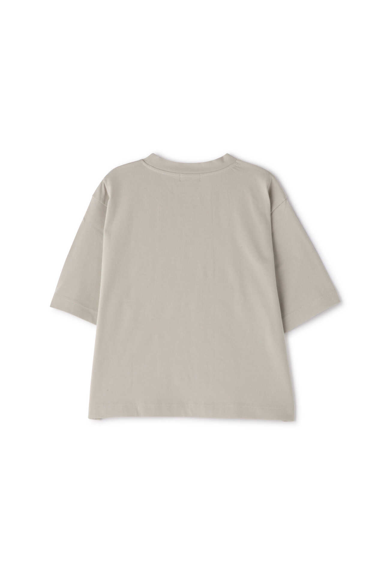 SUPIMA COTTON T SHIRT8