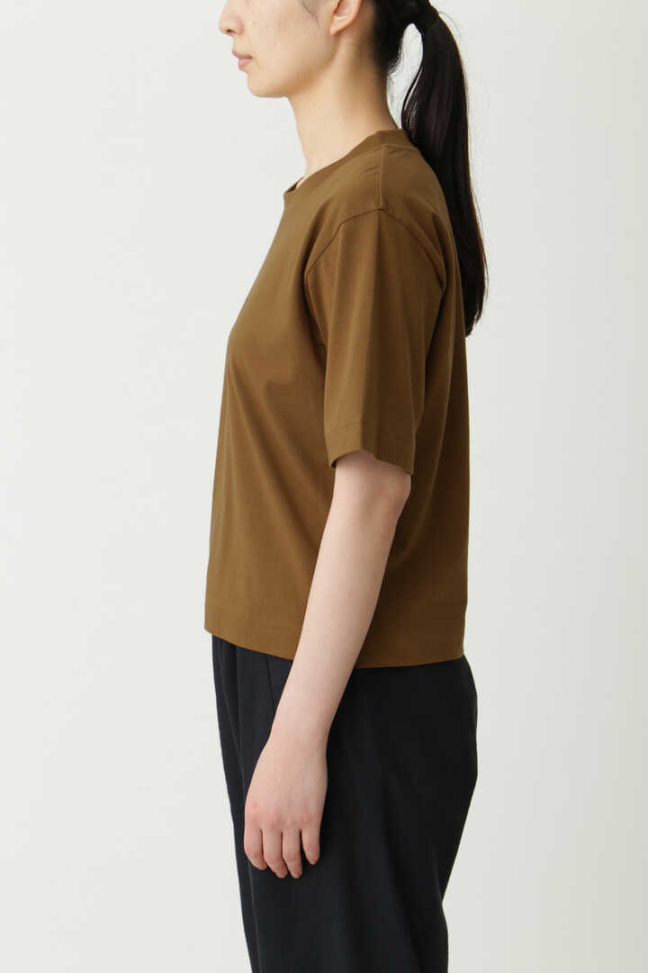 SUPIMA COTTON T SHIRT6