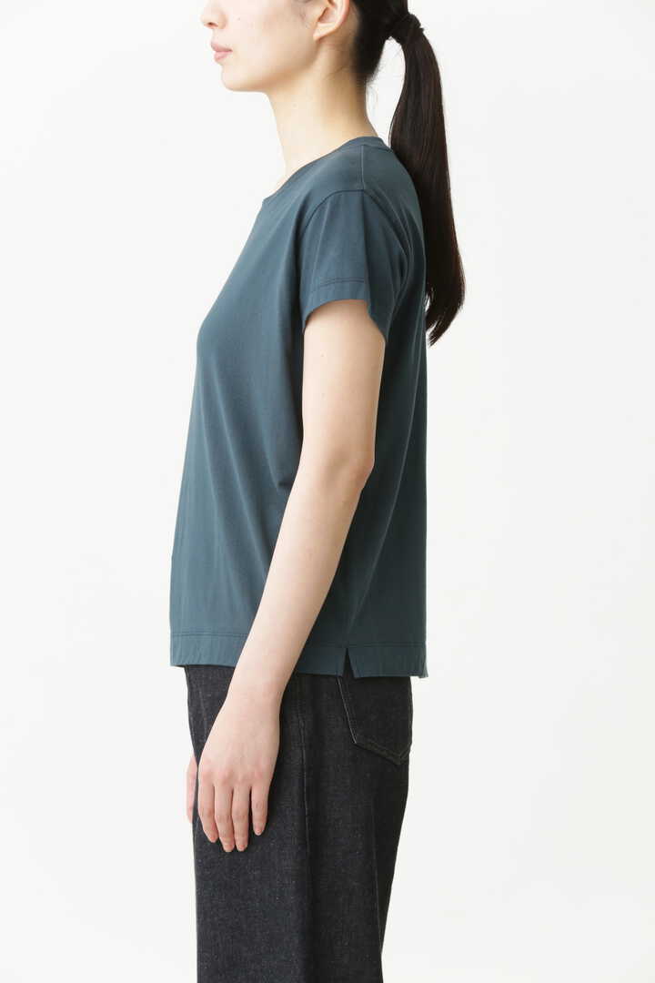 PLAIN COTTON JERSEY6