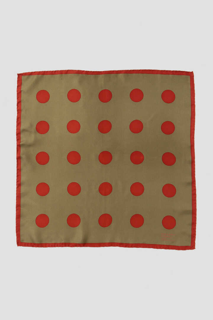 OVERSIZED SPOT SCARF1