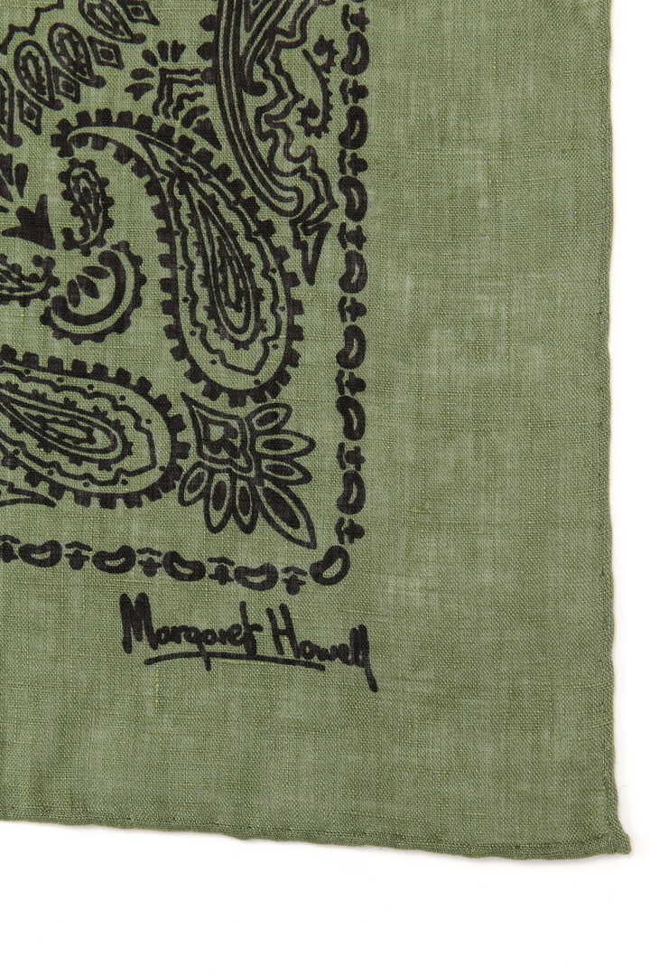 PAISLEY PRINT SCARF2