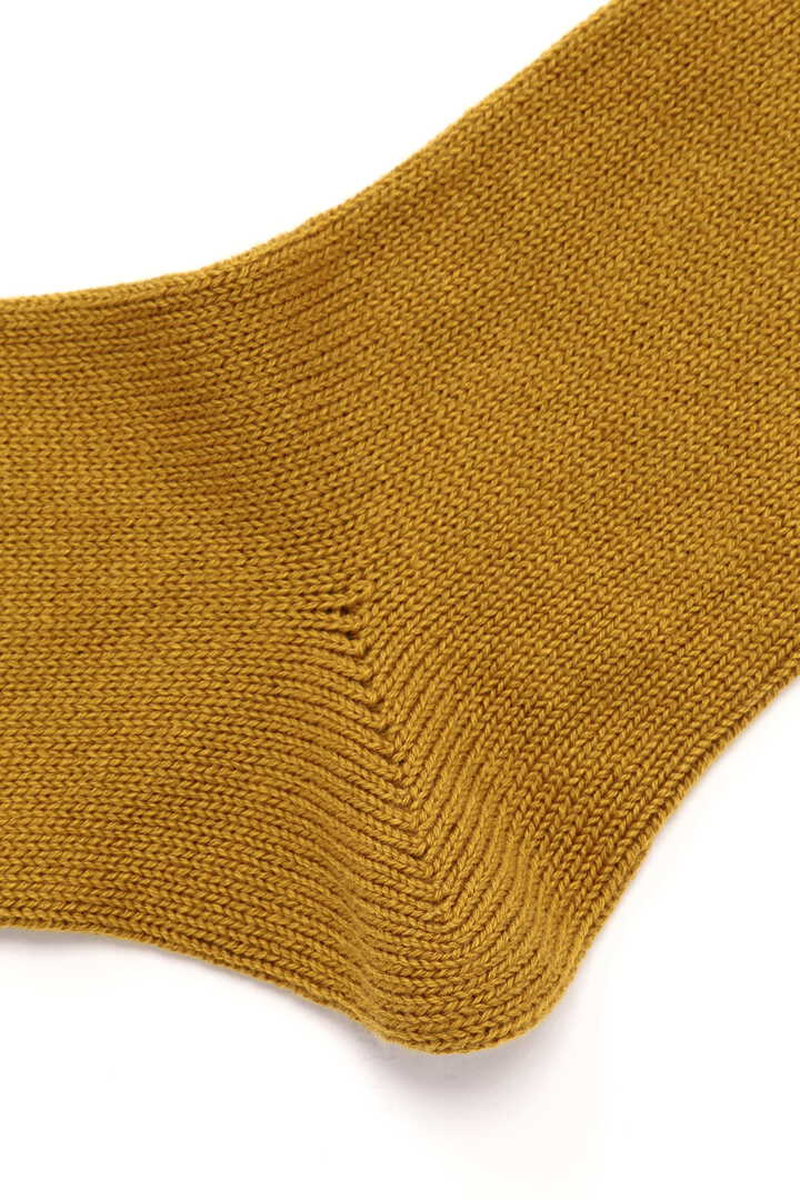 COTTON CASHMERE3