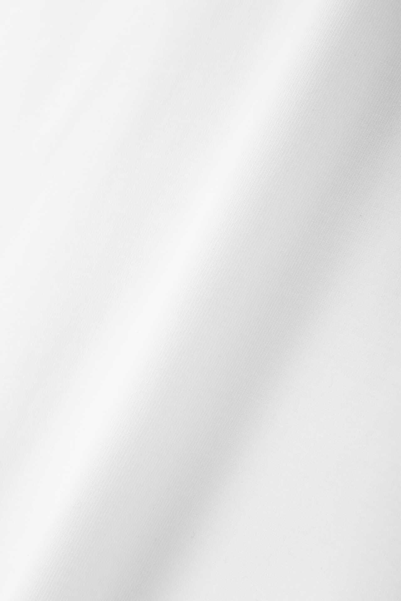 DENSE COTTON JERSEY16