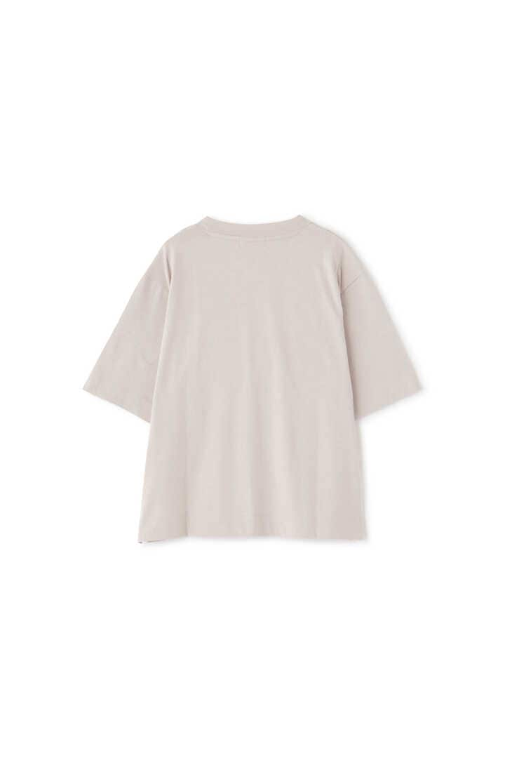 DENSE COTTON JERSEY4