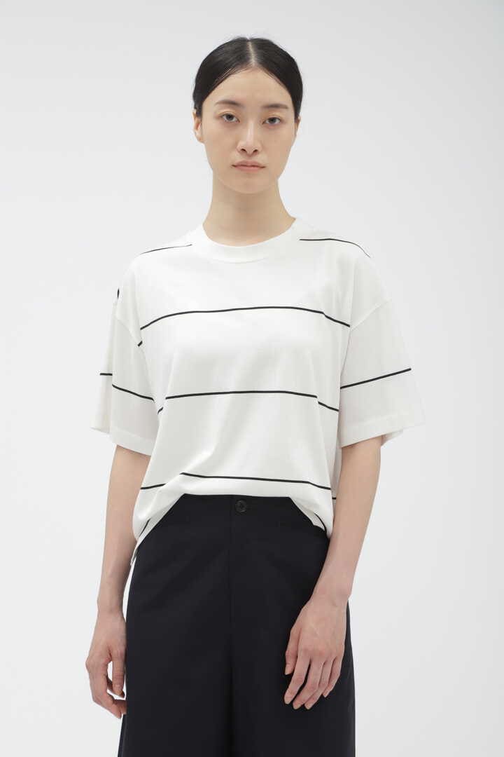 SPACED STRIPE COTTON JERSEY1