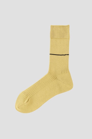 11月下旬-12月中旬 STRIPE COTTON RIB SOCKS_061