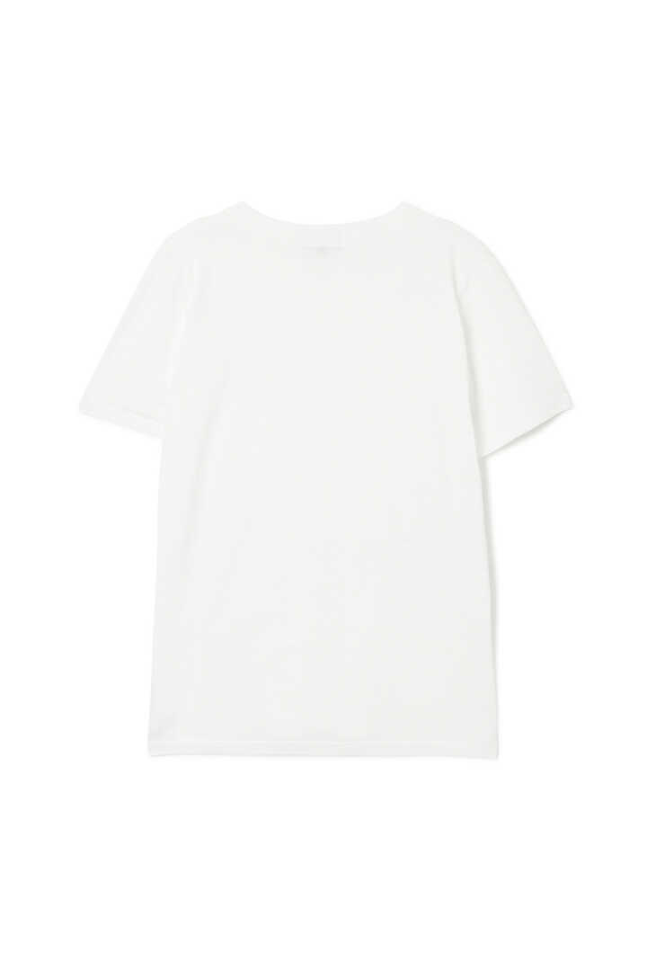 SUPERFINE COTTON JERSEY2