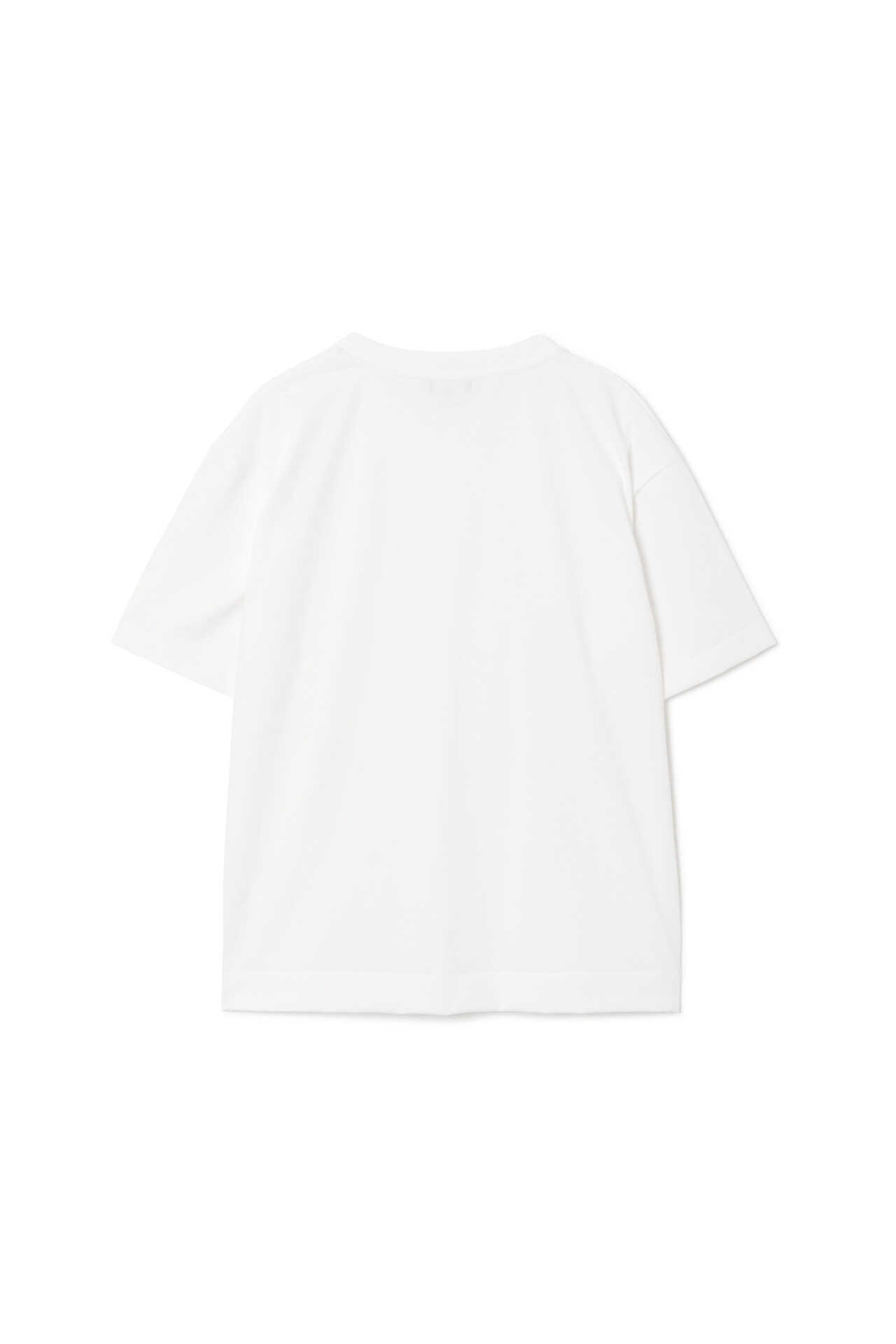 FINE DENSE COTTON JERSEY7