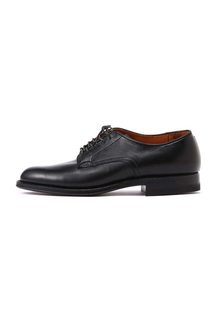 ALDEN CALF2