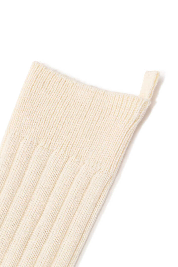 COTTON RIB SOCK2
