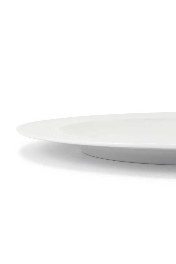 DENBY DINNER PLATE2
