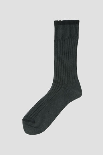 WIDE TIPPING COTTON SOCK_024