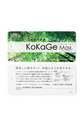 KOKAGEMAX 半袖 ポロシャツ (WOMENS METRO)