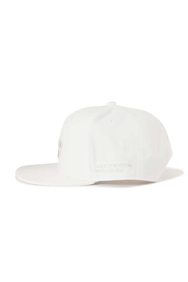FIELDSENSOR ツイル フラットブリムキャップ (MENS WORLD)