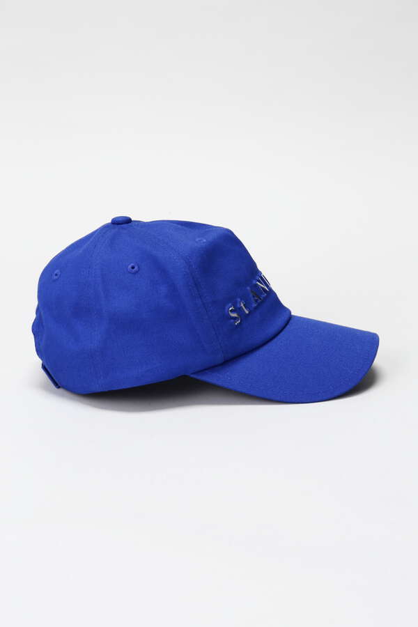 ツイルロゴエンボス箔プリントキャップ (UNISEX)