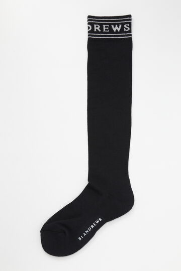 ラメラインハイソックス (WOMENS)