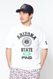 【PING APPAREL】ポリエステルカノコ半袖ハイネックカットソー ＜NATIVE＞ (MENS)