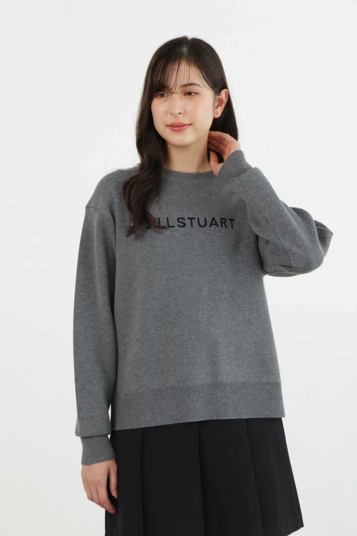 【先行予約 11月上旬-中旬入荷予定】JILL STUARTロゴニットトップス