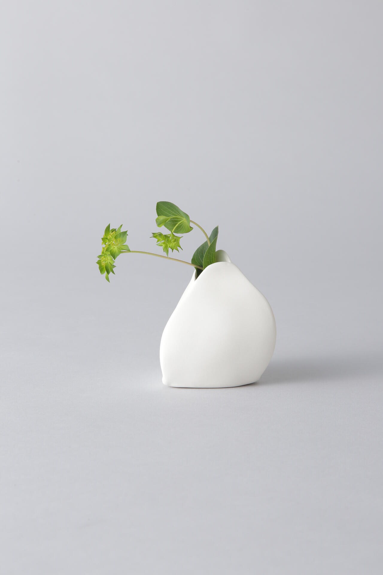 【Ｇｇ】Flower Vase by Roos Van de Velde　Ｓ
