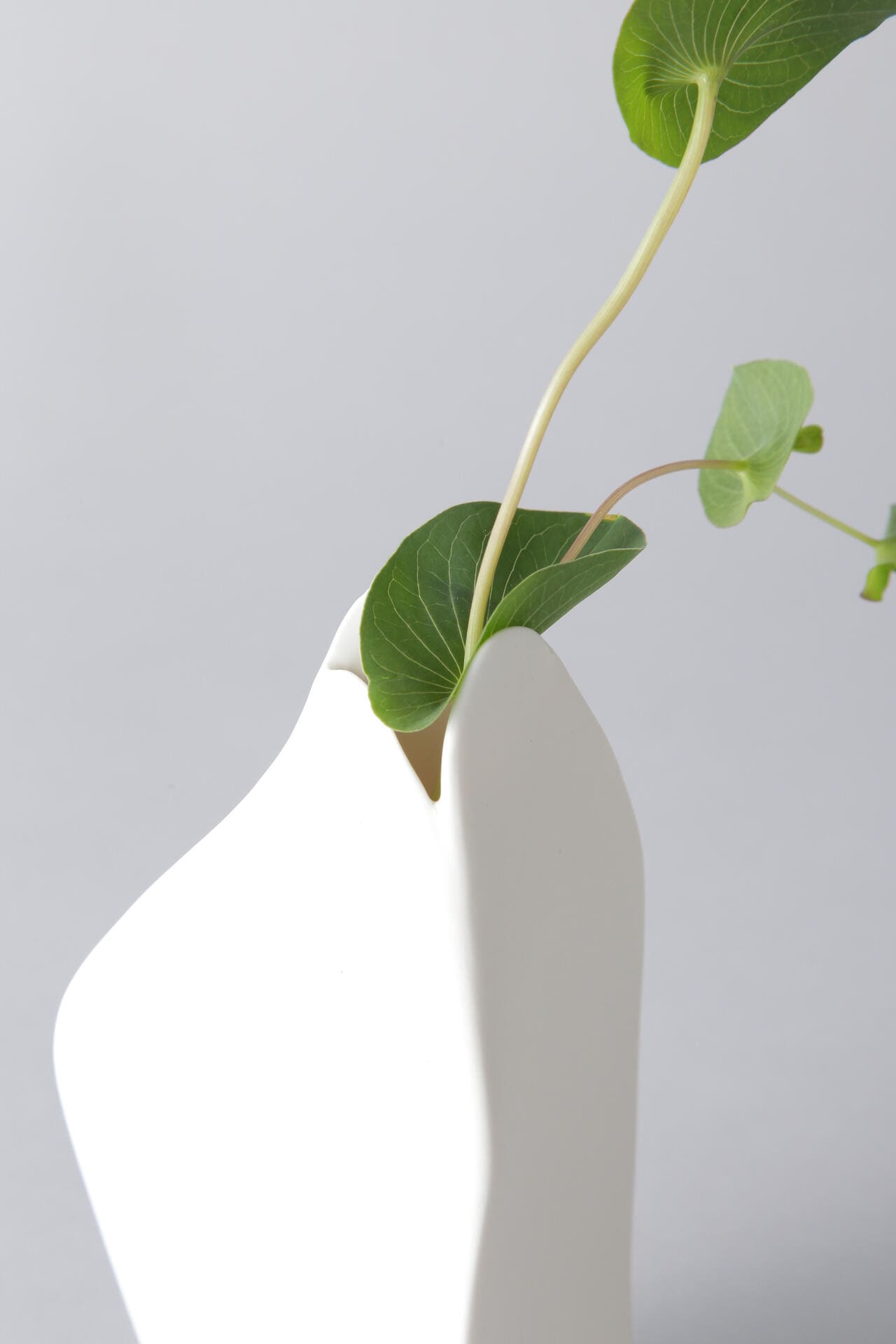 【Ｇｇ】Flower Vase by Roos Van de Velde　Ｌ