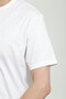 MEN'S Q82 CLASSIC