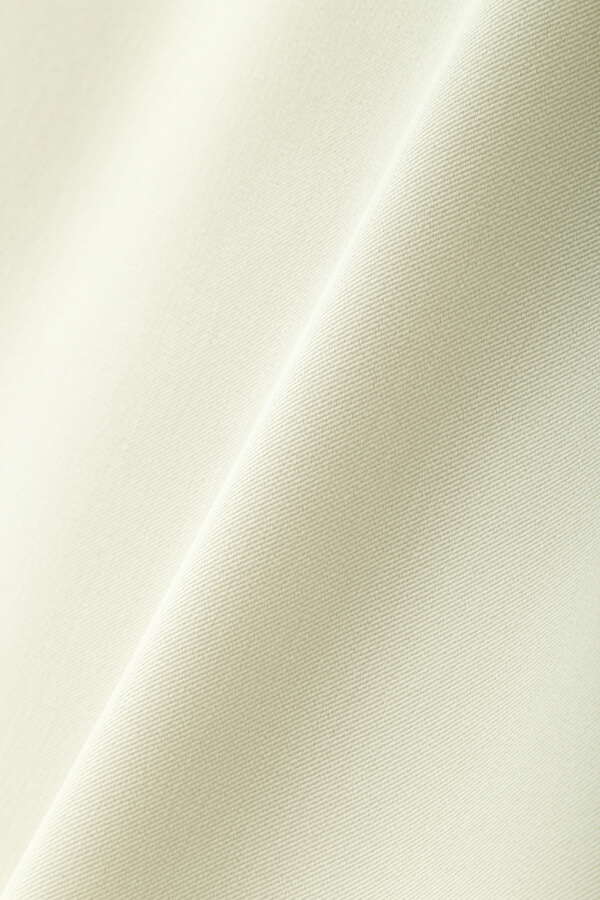 【先行予約 8月上旬-中旬入荷予定】[WEB限定サイズ] メタルプレートタイトスカート