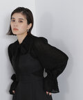フェザーシフォンボウブラウス