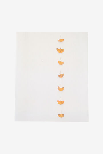 WORKS 1964-2019 / HREINN FRIDFINNSON_000