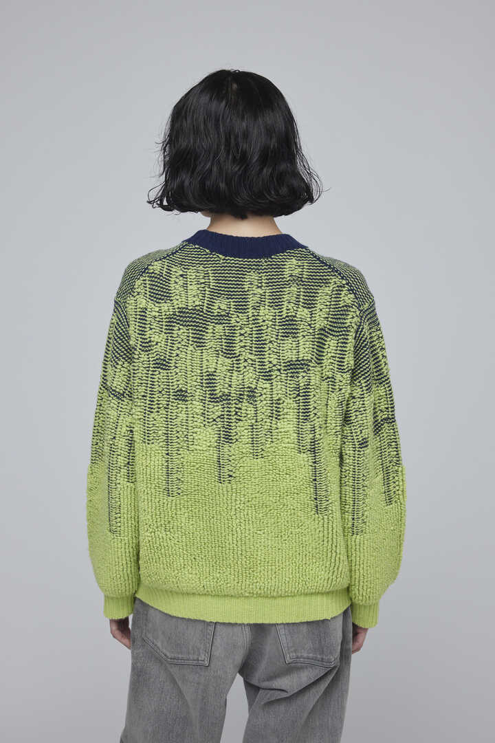 SAYAKA DAVIS / Pile Jacquard Sweater5