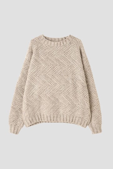 POLYPLOID / CREW NECK SWEATER A_030