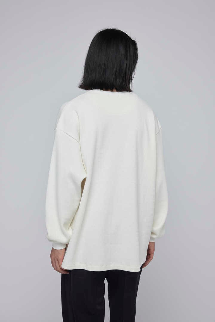 POLYPLOID / OVERSIZE LONGSLEEVE C4