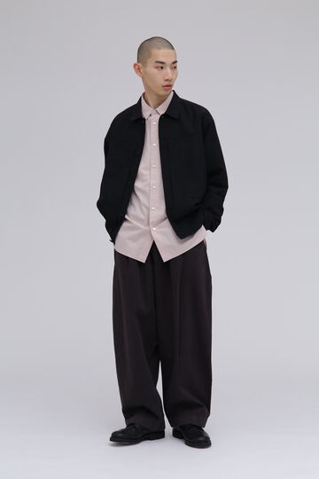 STUDIO NICHOLSON / ARCHIVE MODEL STRIPE DENIM PLEATED CARPENTER PANT_050