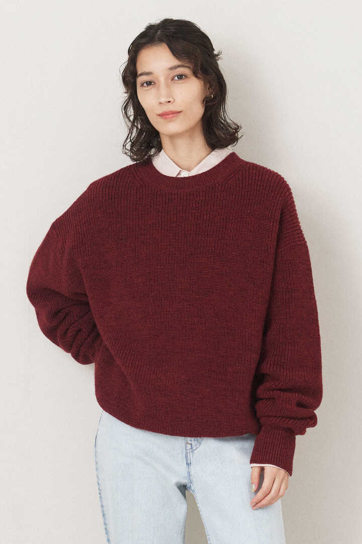 THE LIBRARY / [UNISEX] WOOL KN P/O3