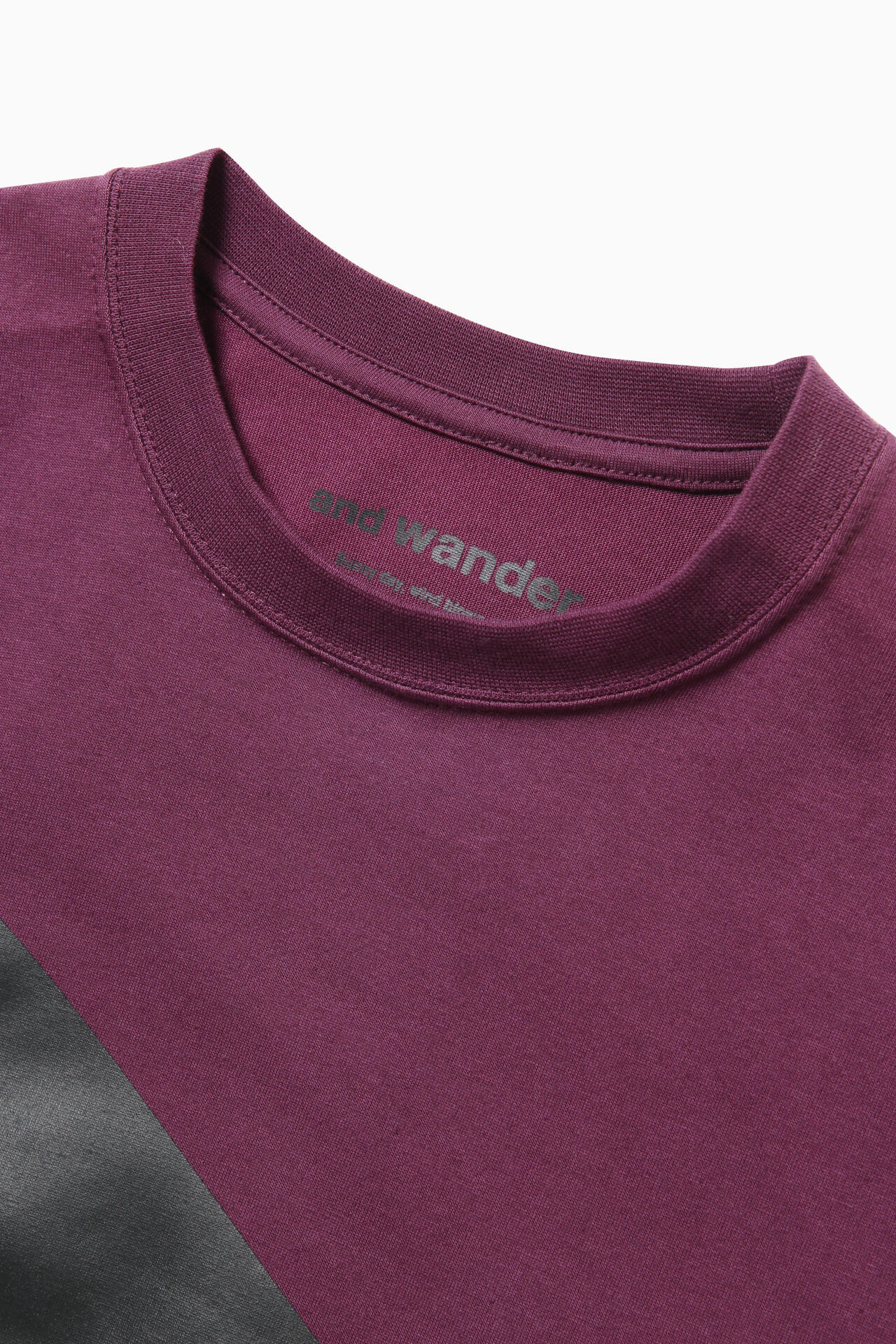 and wander logo LS T