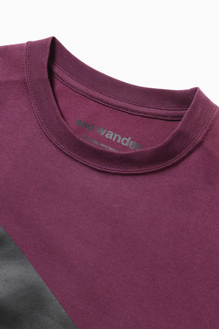 and wander logo LS T