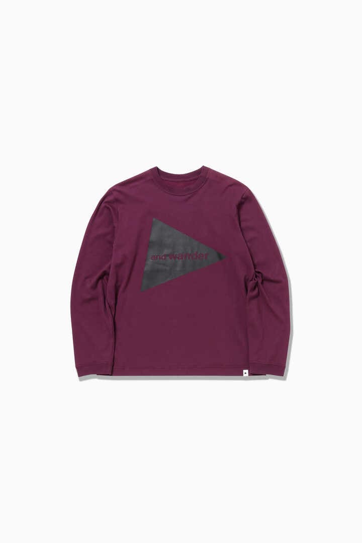 and wander logo LS T