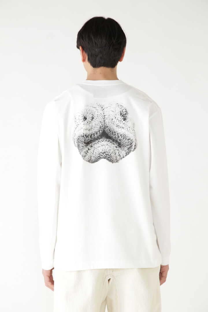 THE FASCINATED LS T | cut_knit | and wander ONLINE STORE