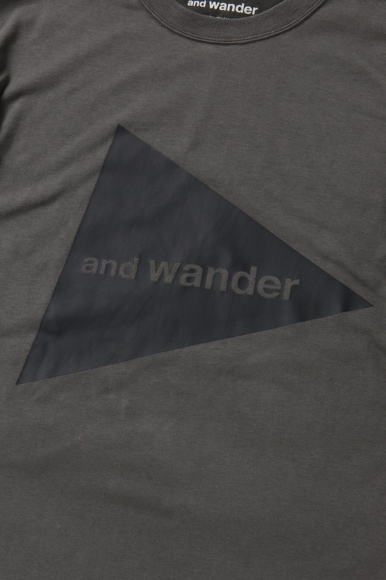 and wander logo LS T