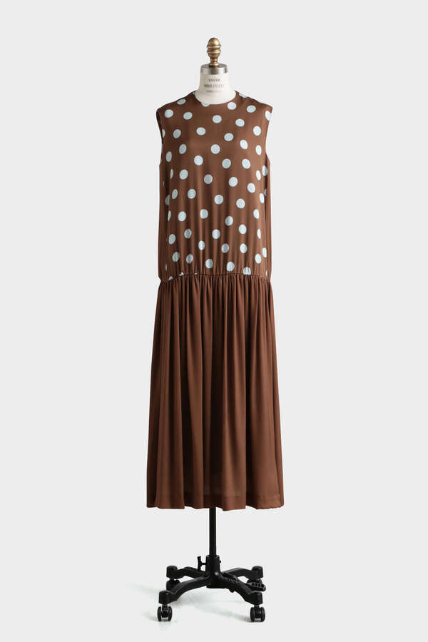 Printed Silk Dot Dress