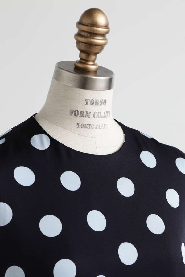 Printed Silk Dot Dress